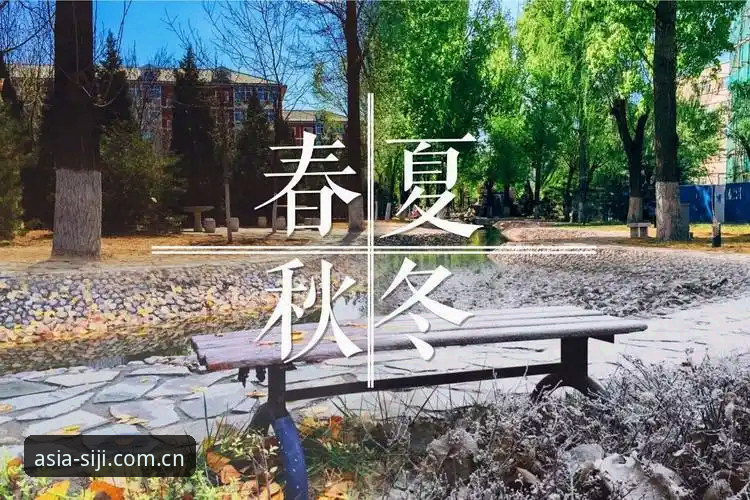 四季中国官网地址最新对比指南：直营渠道与下载源权威解析